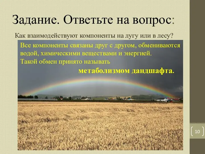 Задание. Ответьте на вопрос: Как взаимодействуют компоненты на лугу или в