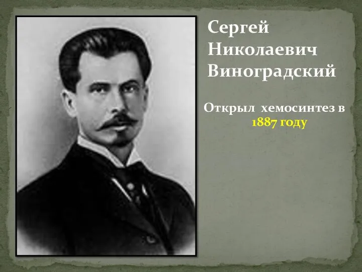 Открыл хемосинтез в 1887 году Сергей Николаевич Виноградский