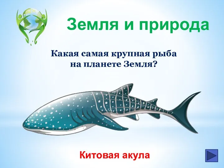 Какая самая крупная рыба на планете Земля? Китовая акула Земля и природа
