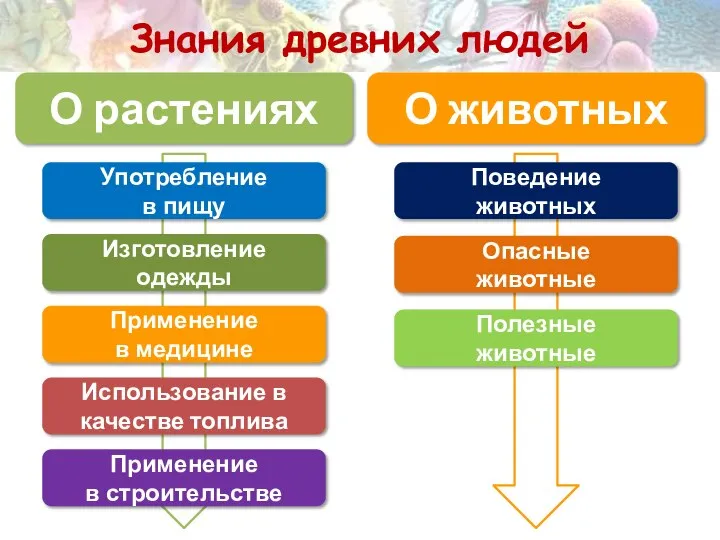 Применение в строительстве Использование в качестве топлива Применение в медицине Изготовление