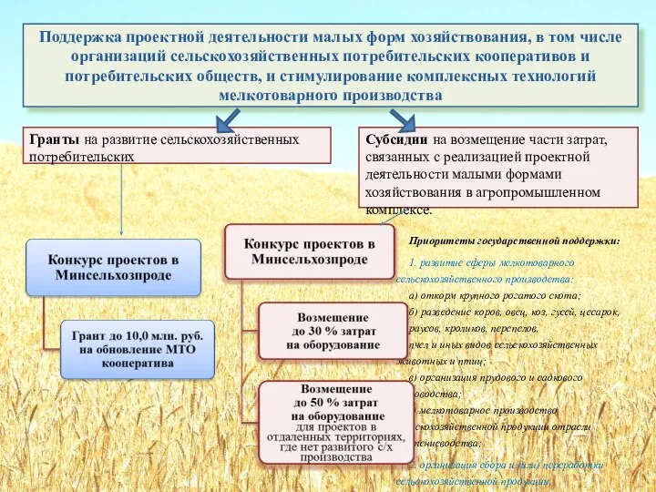 Поддержка проектной деятельности малых форм хозяйствования, в том числе организаций сельскохозяйственных