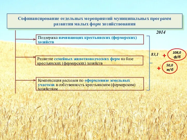 Софинансирование отдельных мероприятий муниципальных программ развития малых форм хозяйствования Поддержка начинающих