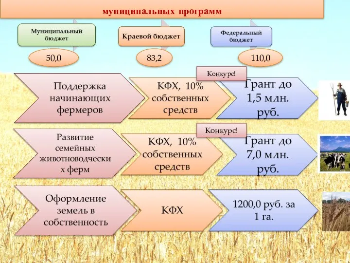 Механизмы поддержки малых форм в рамках софинасирования муниципальных программ Конкурс! Конкурс! 50,0 83,2 110,0