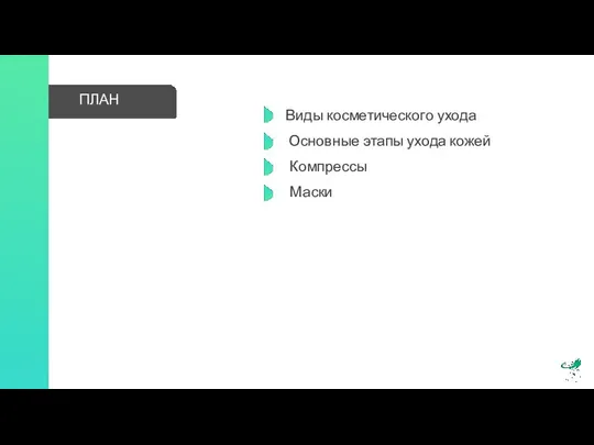 ПЛАН Виды косметического ухода Основные этапы ухода кожей Компрессы Маски