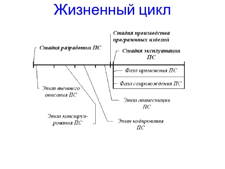 Жизненный цикл