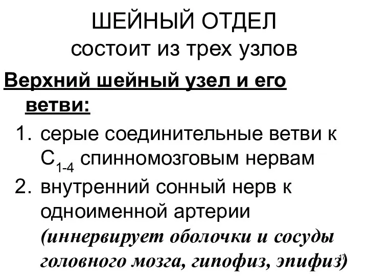 ШЕЙНЫЙ ОТДЕЛ состоит из трех узлов Верхний шейный узел и его