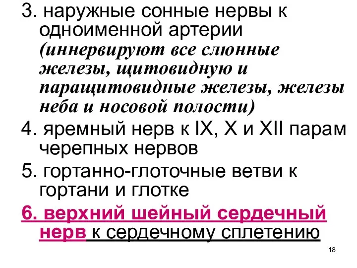 3. наружные сонные нервы к одноименной артерии (иннервируют все слюнные железы,