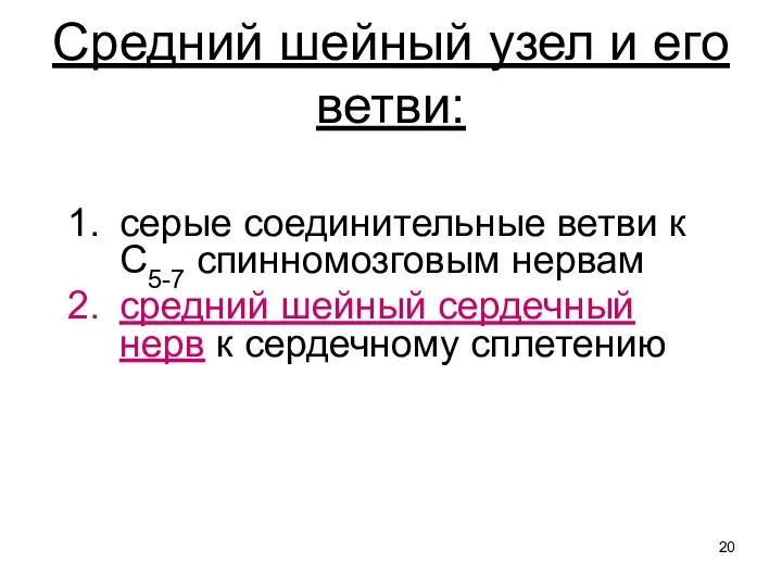 серые соединительные ветви к С5-7 спинномозговым нервам средний шейный сердечный нерв