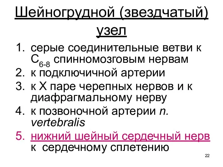 Шейногрудной (звездчатый) узел серые соединительные ветви к С6-8 спинномозговым нервам к