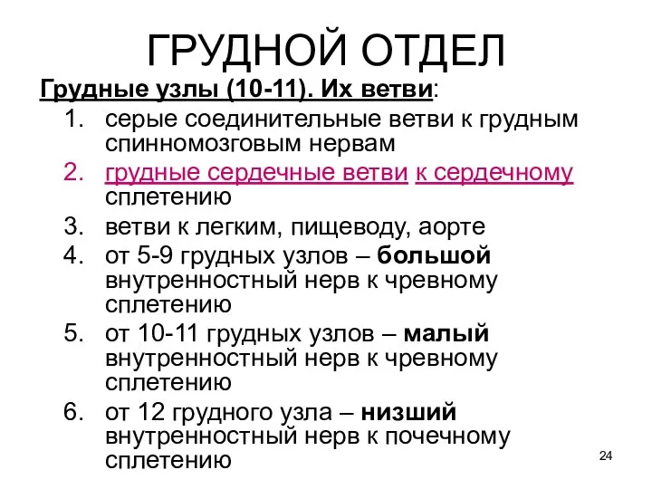 ГРУДНОЙ ОТДЕЛ Грудные узлы (10-11). Их ветви: серые соединительные ветви к