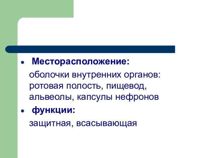 Месторасположение: оболочки внутренних органов: ротовая полость, пищевод, альвеолы, капсулы нефронов функции: защитная, всасывающая