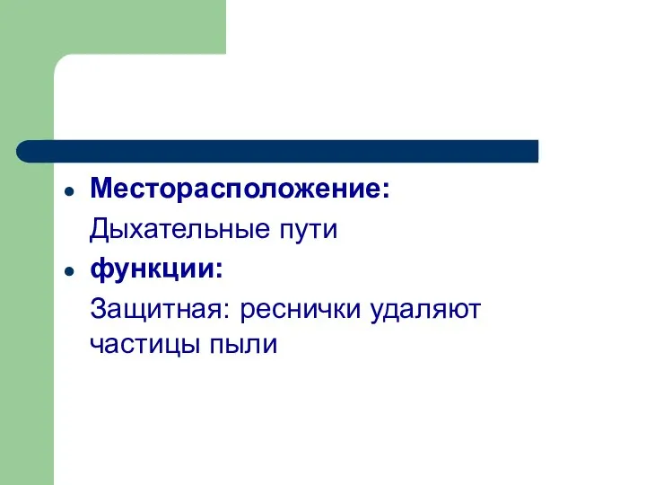 Месторасположение: Дыхательные пути функции: Защитная: реснички удаляют частицы пыли