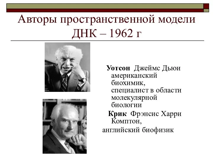 Авторы пространственной модели ДНК – 1962 г Уотсон Джеймс Дьюи американский