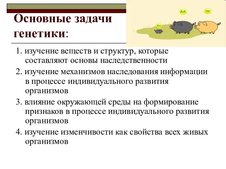 Основные задачи генетики: 1. изучение веществ и структур, которые составляют основы