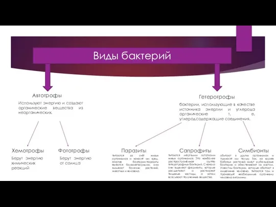 Виды бактерий Автотрофы Гетеротрофы Используют энергию и создают органические вещества из