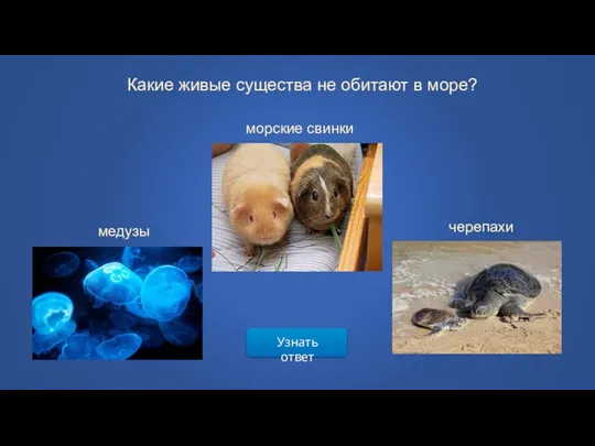 Узнать ответ Какие живые существа не обитают в море? медузы морские свинки черепахи