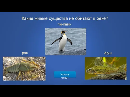 Узнать ответ Какие живые существа не обитают в реке? пингвин рак ёрш