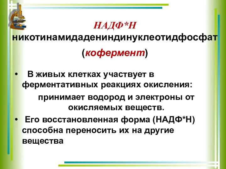 НАДФ*Н никотинамидадениндинуклеотидфосфат (кофермент) В живых клетках участвует в ферментативных реакциях окисления: