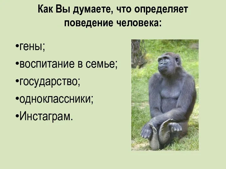 Как Вы думаете, что определяет поведение человека: гены; воспитание в семье; государство; одноклассники; Инстаграм.