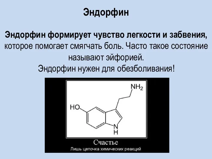 Эндорфин Эндорфин формирует чувство легкости и забвения, которое помогает смягчать боль.