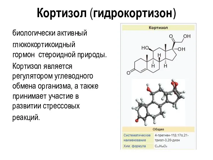Кортизол (гидрокортизон) биологически активный глюкокортикоидный гормон стероидной природы. Кортизол является регулятором