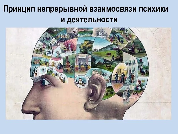 Принцип непрерывной взаимосвязи психики и деятельности