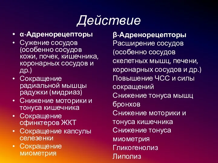 Действие α-Адренорецепторы Сужение сосудов (особенно сосудов кожи, почек, кишечника, коронарных сосудов