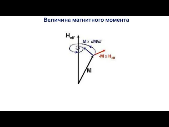 Величина магнитного момента