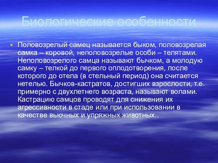 Биологические особенности Половозрелый самец называется быком, половозрелая самка – коровой, неполовозрелые