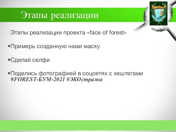 Этапы реализации Этапы реализации проекта «face of forest» Примерь созданную нами