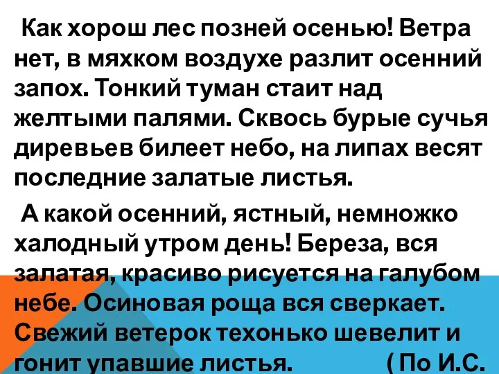 Как хорош лес позней осенью! Ветра нет, в мяхком воздухе разлит