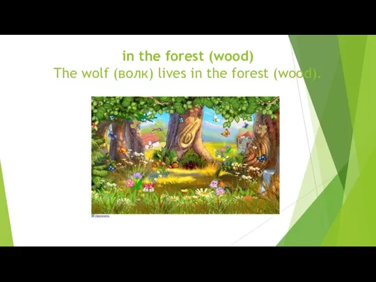 in the forest (wood) The wolf (волк) lives in the forest (wood).