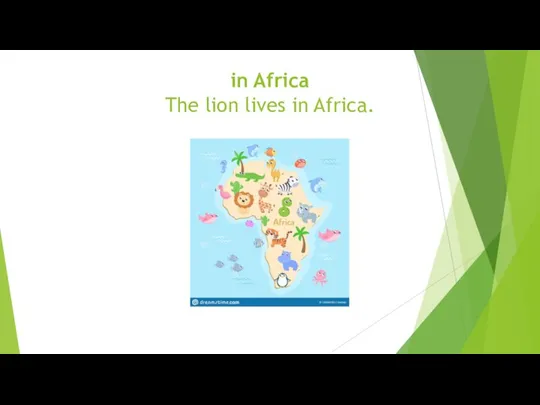 in Africa The lion lives in Africa.