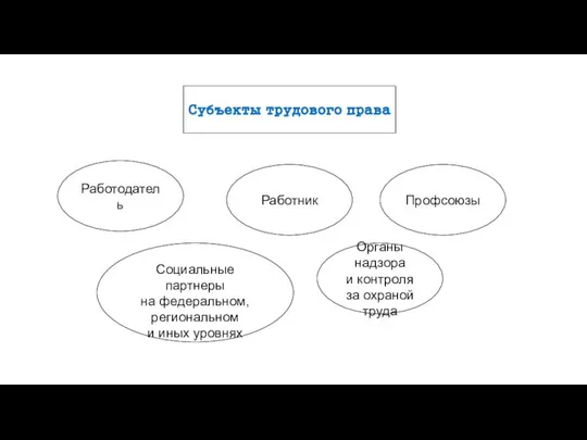 Субъекты трудового права Работодатель Социальные партнеры на федеральном, региональном и иных