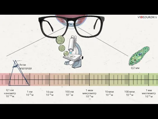0,2 мм 1 нм 10–9 м 0,1 нм нанометр 10–10 м