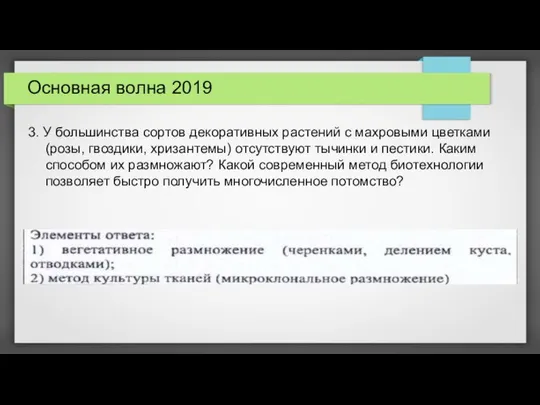 Основная волна 2019 3. У большинства сортов декоративных растений с махровыми