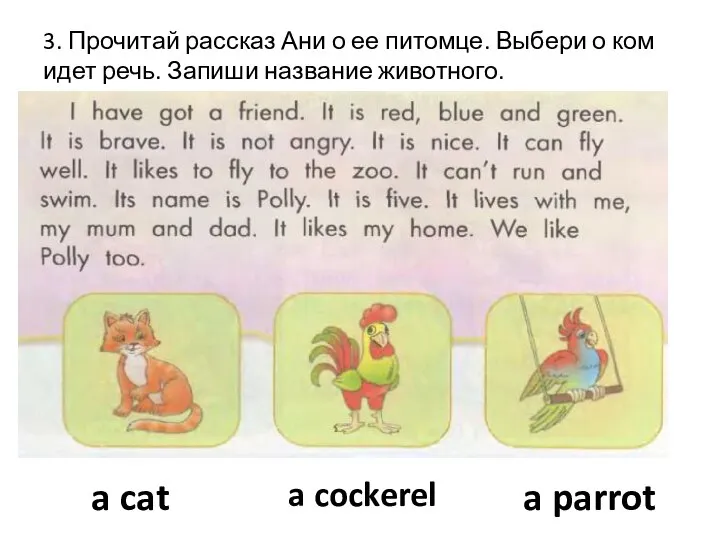 3. Прочитай рассказ Ани о ее питомце. Выбери о ком идет