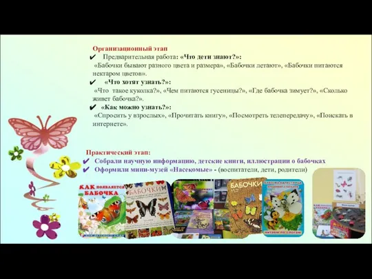 Организационный этап Предварительная работа: «Что дети знают?»: «Бабочки бывают разного цвета