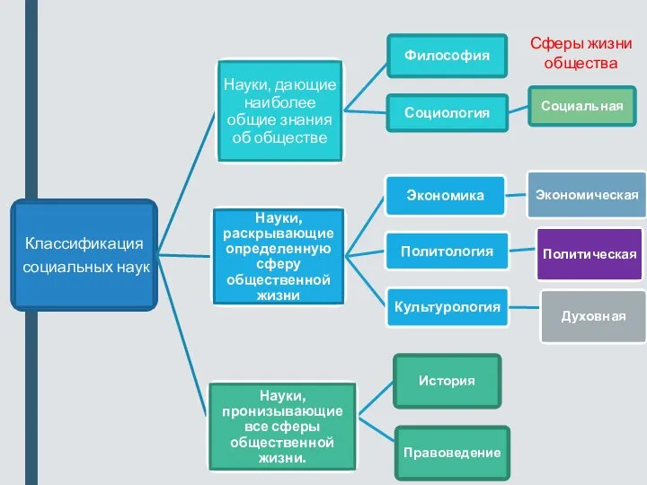 Сферы жизни общества