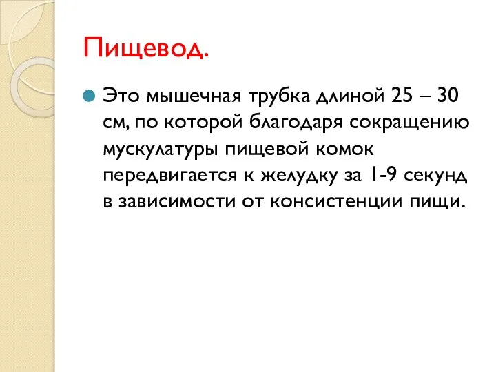 Пищевод. Это мышечная трубка длиной 25 – 30 см, по которой