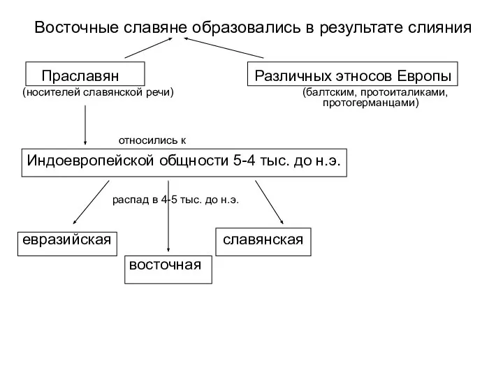 Восточные славяне образовались в результате слияния Праславян Различных этносов Европы (носителей