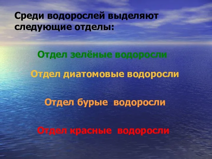 Среди водорослей выделяют следующие отделы: Отдел зелёные водоросли Отдел диатомовые водоросли