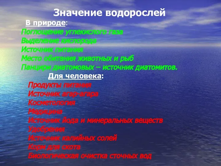 Значение водорослей В природе: Поглощение углекислого газа Выделение кислорода Источник питания