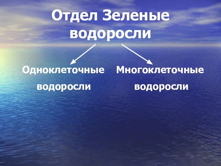 Отдел Зеленые водоросли Одноклеточные Многоклеточные водоросли водоросли