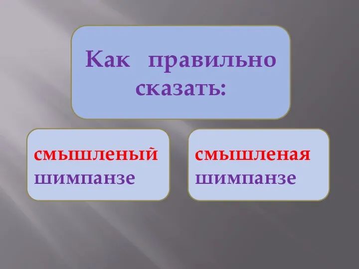 Как правильно сказать: смышленый шимпанзе смышленая шимпанзе