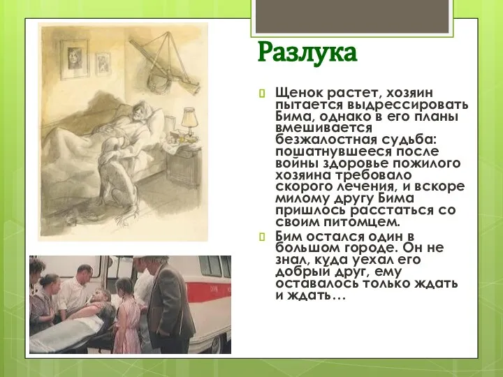 Разлука Щенок растет, хозяин пытается выдрессировать Бима, однако в его планы