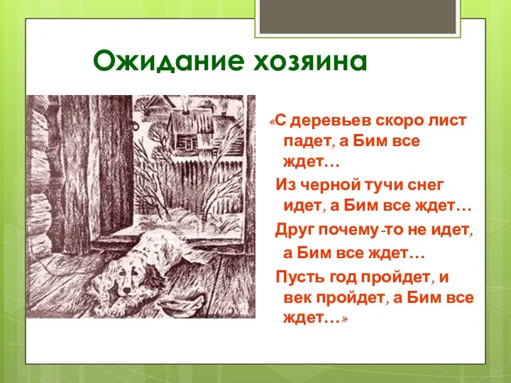 Ожидание хозяина «С деревьев скоро лист падет, а Бим все ждет…