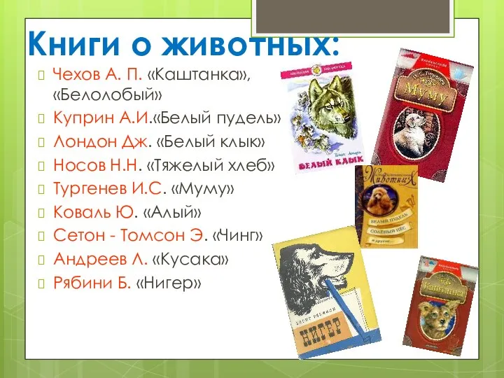 Книги о животных: Чехов А. П. «Каштанка», «Белолобый» Куприн А.И.«Белый пудель»