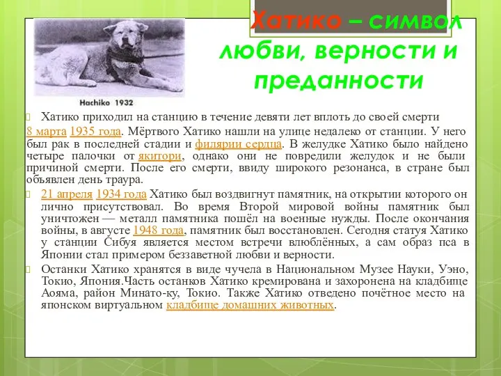 Хатико – символ любви, верности и преданности Хатико приходил на станцию