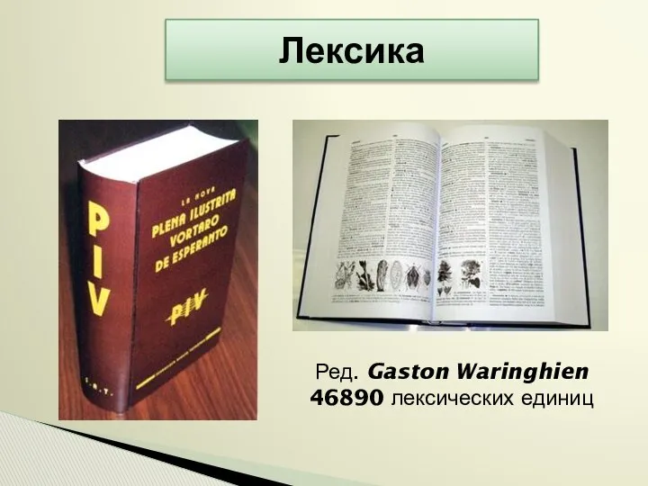 Лексика Ред. Gaston Waringhien 46890 лексических единиц